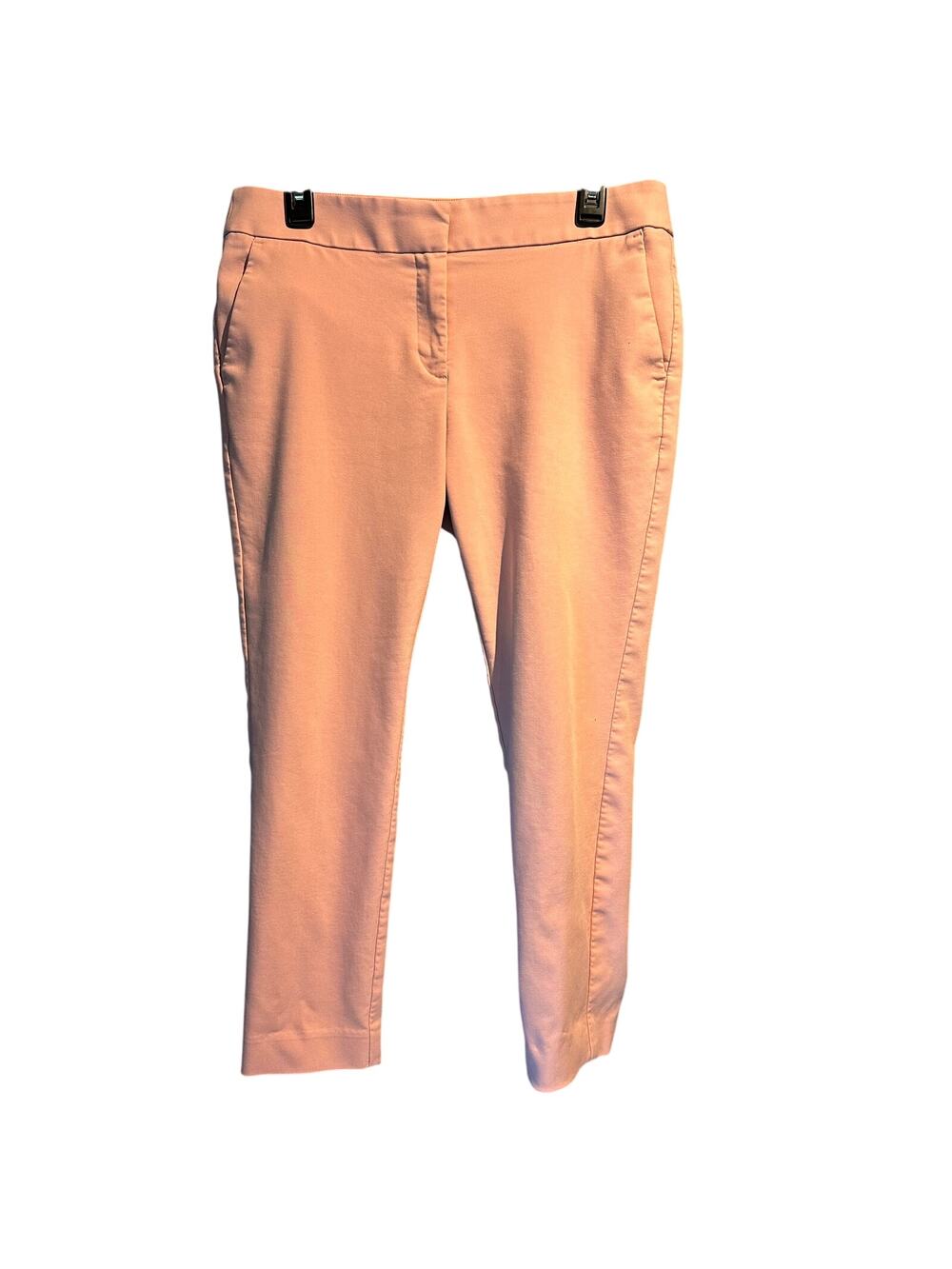Loft Petites Size 10 Pants Pixie Fairy Cottagecore Girly Glam Office Work PInk